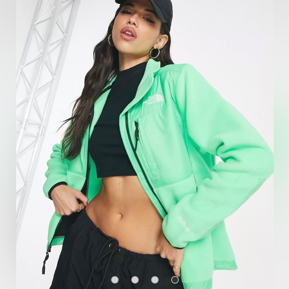 COPY - RARE Northface Denali Polarte jacket